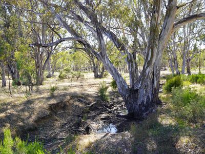 165 Raglus Road, Gobarup