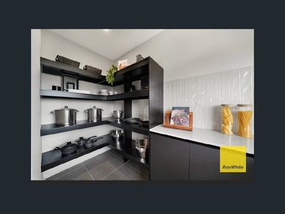 49 Penver Drive, Cobblebank