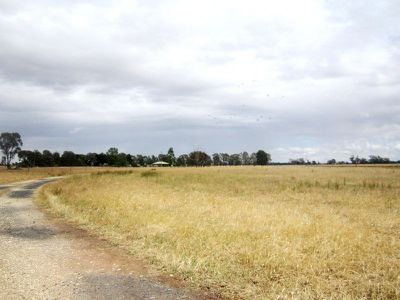 . Kooringal Road, Balldale