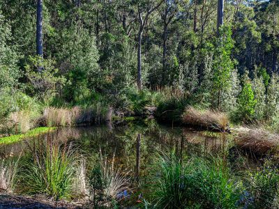 634 Tobys Hill Road, Cygnet