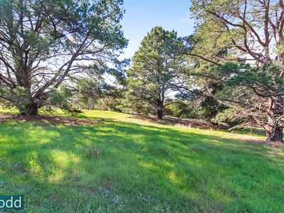 230 Adairs Lane, Heathcote