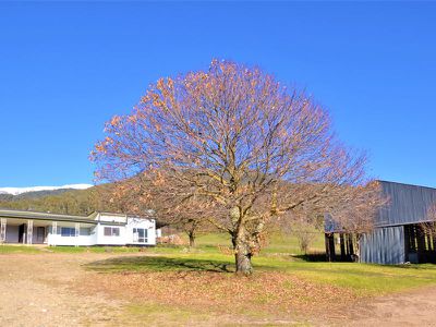 Lot 2, 922 Mountain Creek Road, Tawonga