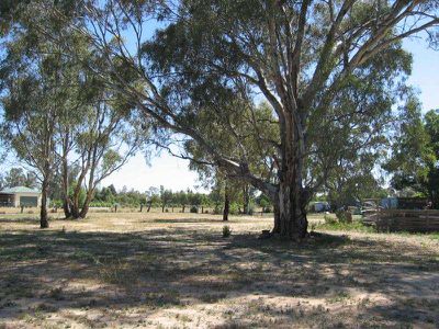 8 Maunder Street, Koondrook