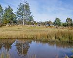 Lot 3, Andrewartha Road, Raminea
