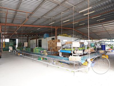 387 Fassio Road, Mareeba