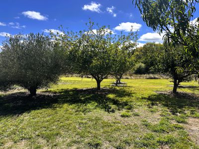 128 Wheeo Road, Grabben Gullen