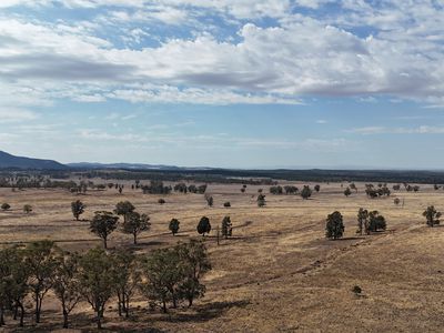 117 Hillside Lane, Parkes