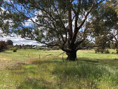 68 Richmond Plains-Wedderburn Road, Wedderburn