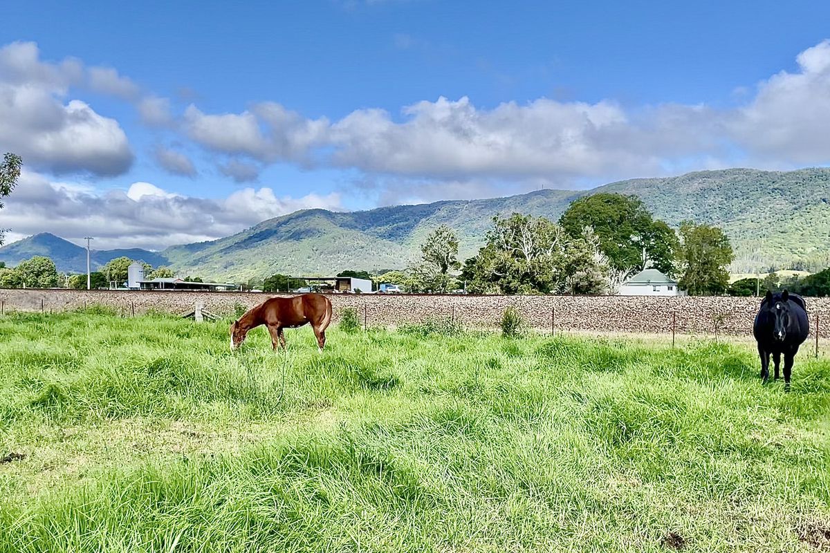 1545 Nowendoc Road, Mount George