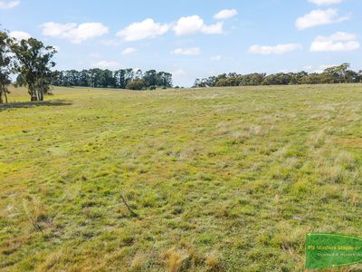 4616 Trunkey Road, Arkell