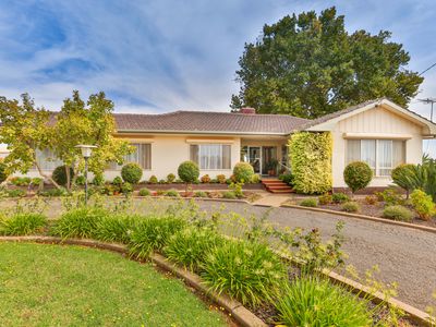 51 Hockings Road, Birdwoodton