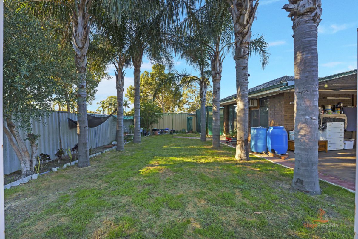81 Anaconda Drive, Gosnells