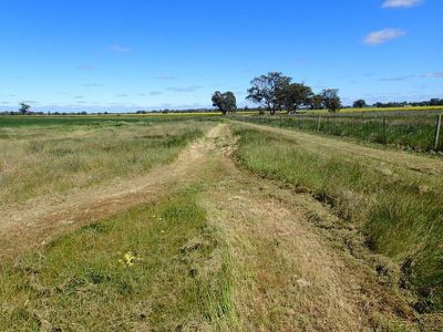 Lot 1, . Whitehead Street, Corowa