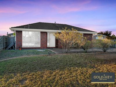 10 Pardalote Close, Werribee