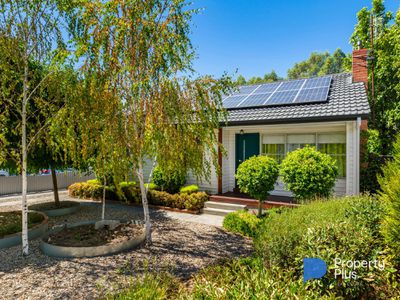 19 Mackenzie Street West, Golden Square