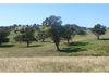 6026 Burrendong Way, Stuart Town