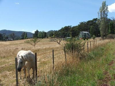 1058 Woodbridge Hill Road, Gardners Bay