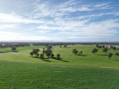 'Willowbank' Urana Road, Jindera