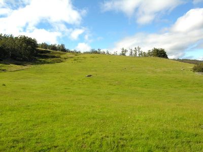 Judds Creek Road, Judbury