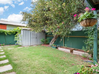 3/103 Lewis Street, Lamington