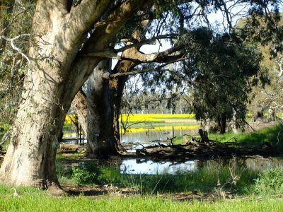 469 Bunganail Road, Nagambie