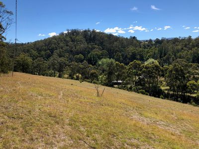 Lot 1, Turn Creek Road, Grove