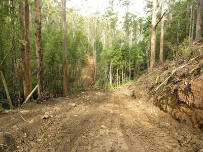 Lot 3 Cradoc Hill Road, Cygnet