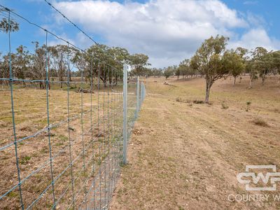 Lot Plain View, 916 Emmaville Road, Glen Innes
