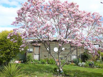 193 Ewings Rd, Avenel