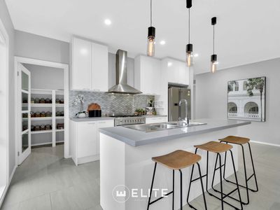 15 Tallrush Street, Clyde North