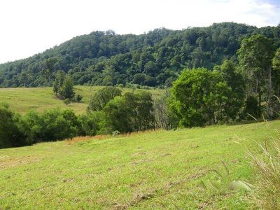 Lot 9 Tulsi Lane, Nimbin