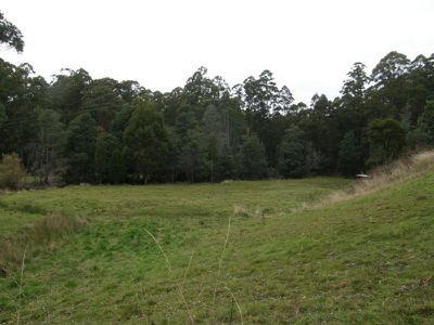 21 Steeles Road, Nicholls Rivulet
