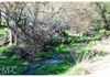 776 Boree Lane, Orange
