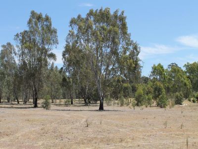 38 Jones Court, Heathcote
