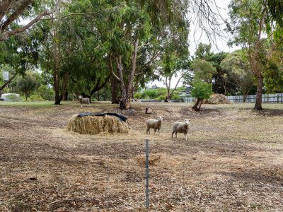 113 Ringwood Drive, Beachport