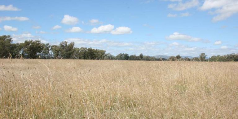 776 Shepparton - Euroa Road, Euroa