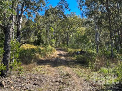 Canungra