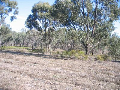 LOT 37 WARROWITUE-FOREST ROAD, Heathcote