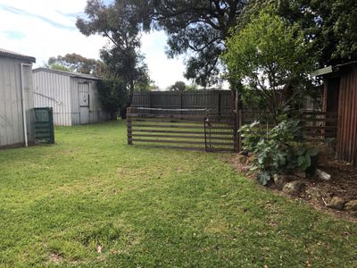 14 Hibiscus Crescent, Newcomb