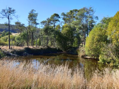 Lot 2 & 2, Wallace Road, Cygnet