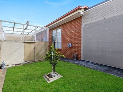12 Stella Court, Bell Park
