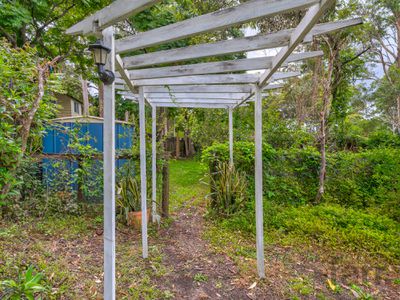 291 Macdonnell Road, Tamborine Mountain