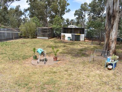 Lot 2 Wombin Street, Alectown