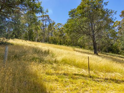 36 Judds Creek Road, Judbury