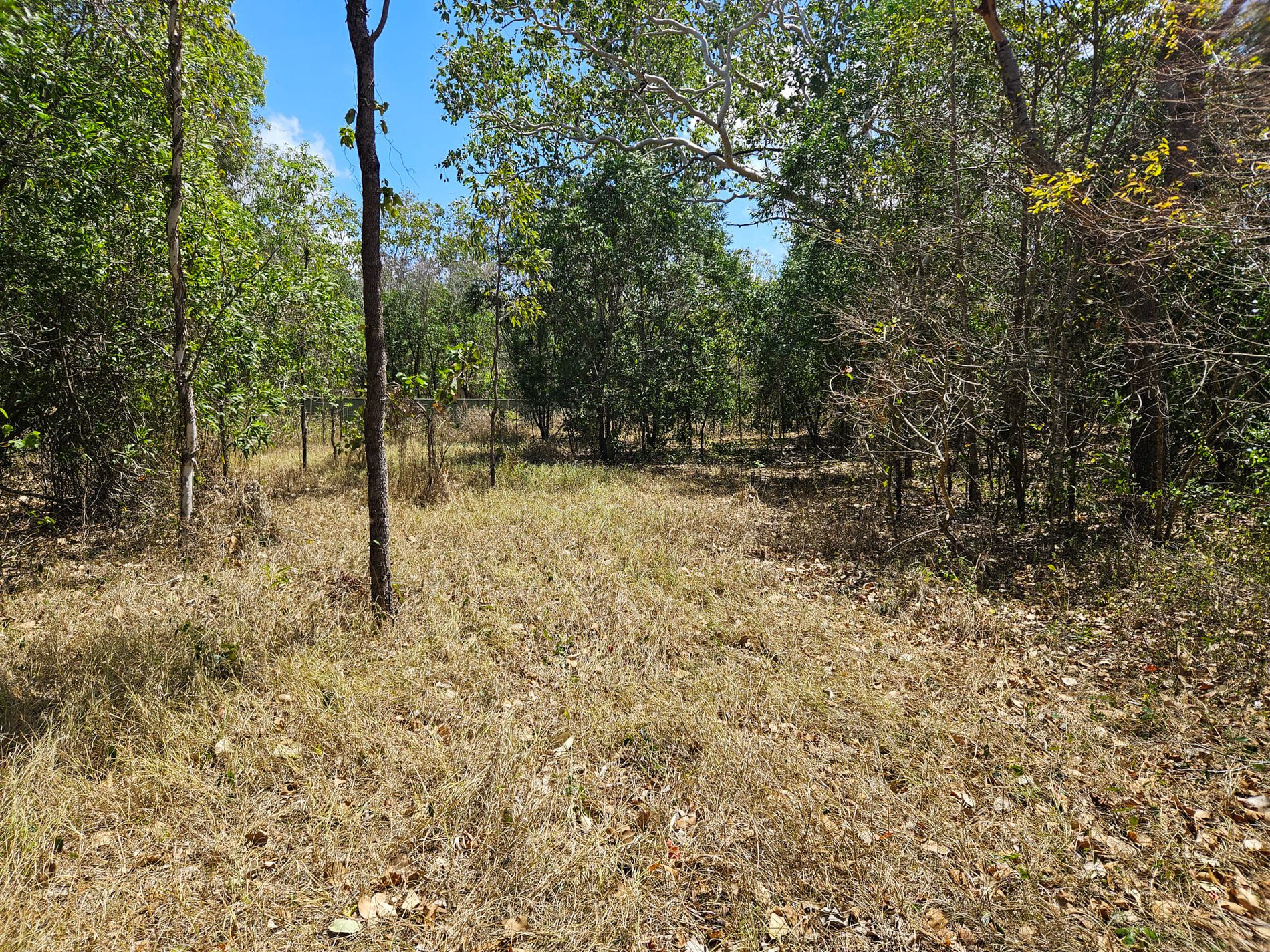 5 Gum Tree Close, Cooktown