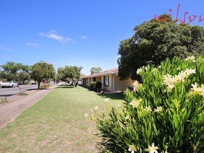 3 / 1A Arthur Street, Plympton Park