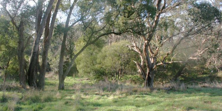 1 Spring Court, Strathbogie