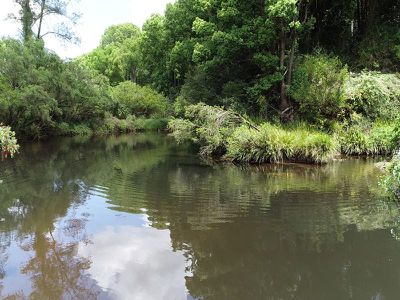 1 Tuntable Creek Road, The Channon