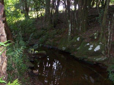 Maleny