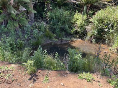 28834 Tasman Highway, Weldborough